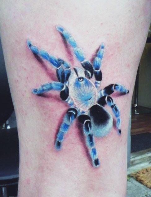 3D-hämähäkki ryömii ylöspäin. Kiinnittää huomiota tatuoinnin epätavalliseen väriin.