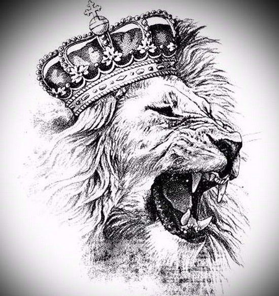 Her er en god skitse til en brølende løve-tatovering