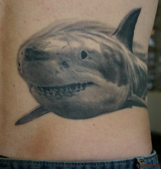 Haizivs tetovējums uz kukuļņēmēja vai kontrabandista ķermeņa
