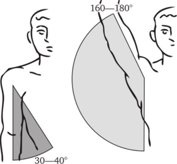 Анатомия на ръцете за рисуване стъпка по стъпка рисуване на ръце. Изграждане изцяло