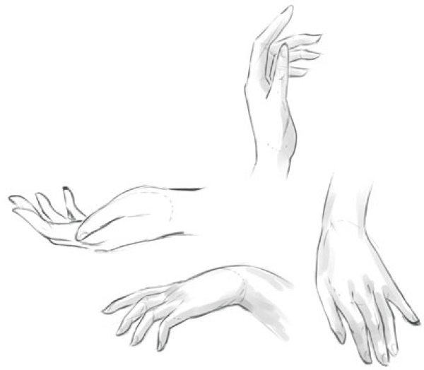 Anatomia das mãos para desenhar passo a passo. Construção inteiramente