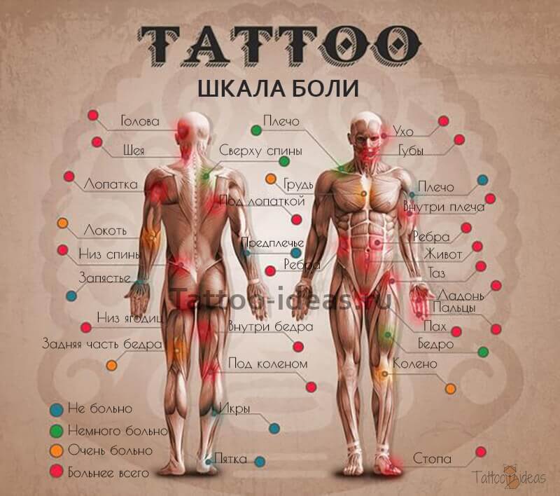 Ar skauda gauti tatuiruotę - Tatuiruotės skausmo žemėlapis