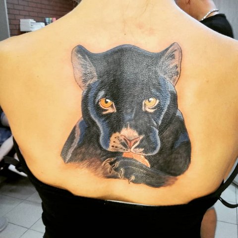 Tatuagem de uma grande besta nas costas de uma rapariga