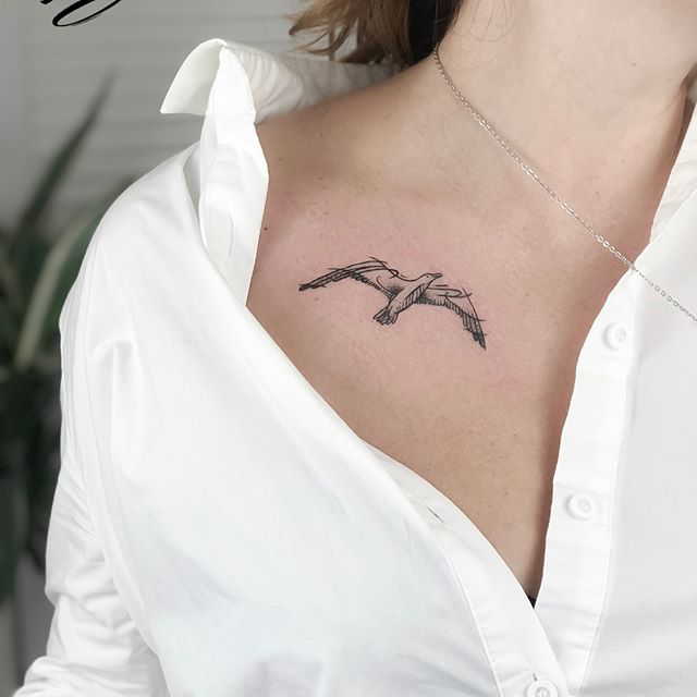 海鸥纹身，素描艺术