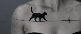 sort kat tatovering