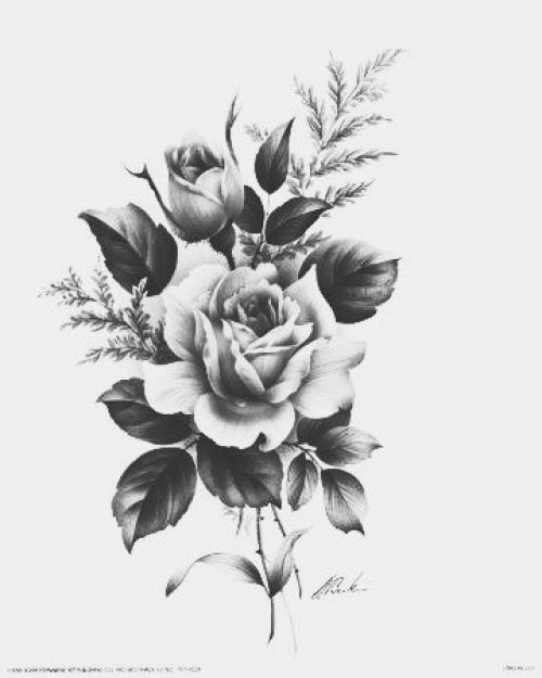 黑玫瑰纹身草图，玫瑰花的礼物