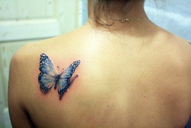kaj pomeni tetovaža metulja