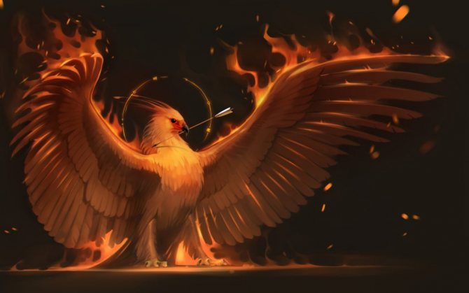 Какво означава огнената птица феникс