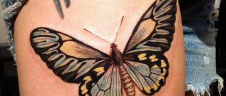 Τι σημαίνει ένα τατουάζ πεταλούδας σε ένα κορίτσι