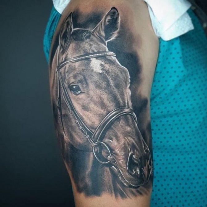 čo znamená tetovanie koňa
