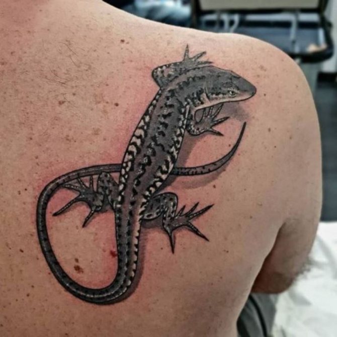ce înseamnă șopârlă tatuaj