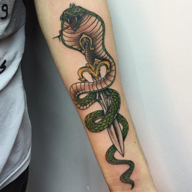 o que significa tatuagem de cobra