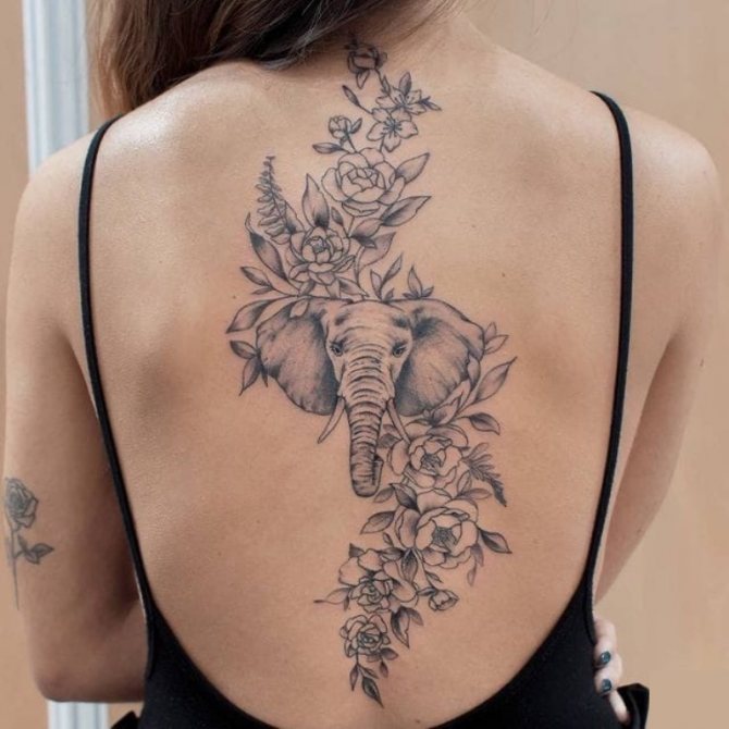 Mitä norsu tatuointi tarkoittaa