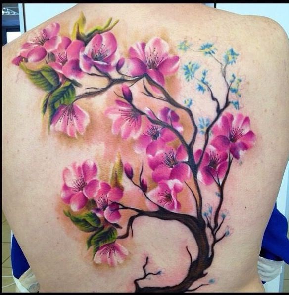Τι σημαίνει τατουάζ Sakura : στυλ, σκίτσα