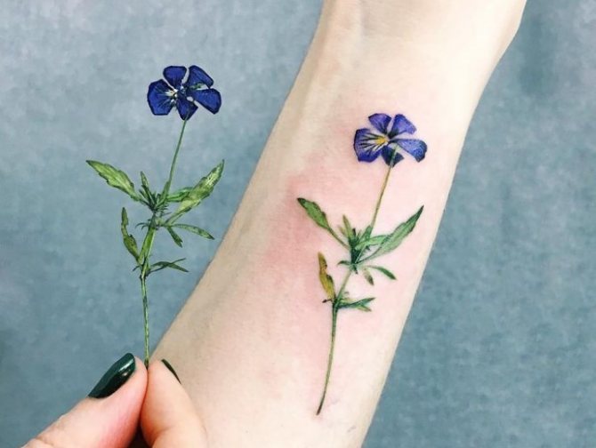 fiore e tatuaggio