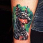 Dobermann Tattoo no seu braço