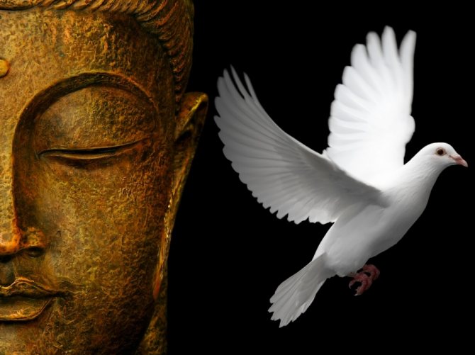 Дзен будизъм - философия и изкуство на живота