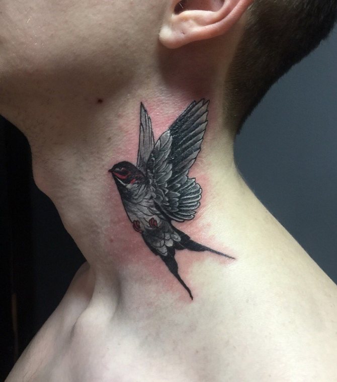 Eksotisk kolibri tatovering (Kropssteder)