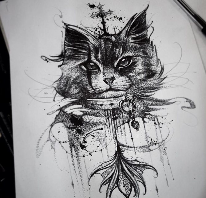 Skica črno-bele mačke
