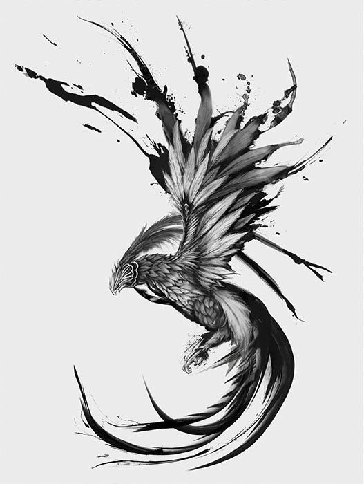 Skitse til phoenix tatovering
