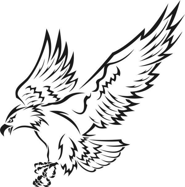 Schiță pentru tatuaj de vultur zburător