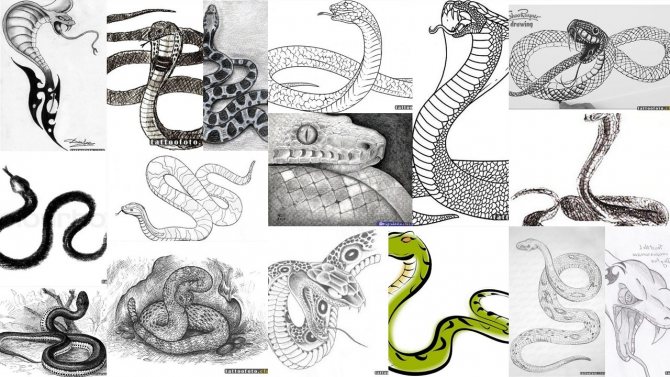 Skitse: slange, der vrider sig