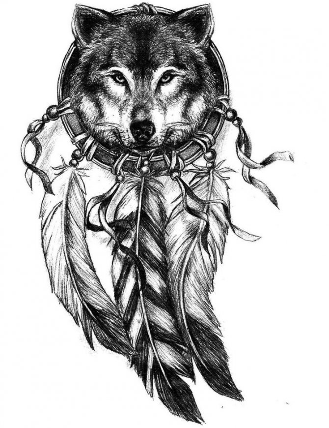 Náčrt mužského tetovania vlka v amulete lapača snov
