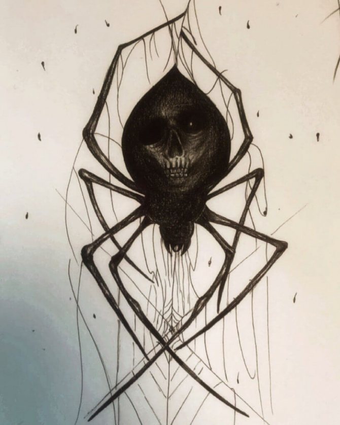Скица на паяк
