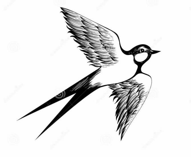 Tatoeage van een zwaluw in de vlucht