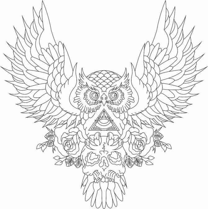 náčrt tetovania sovy