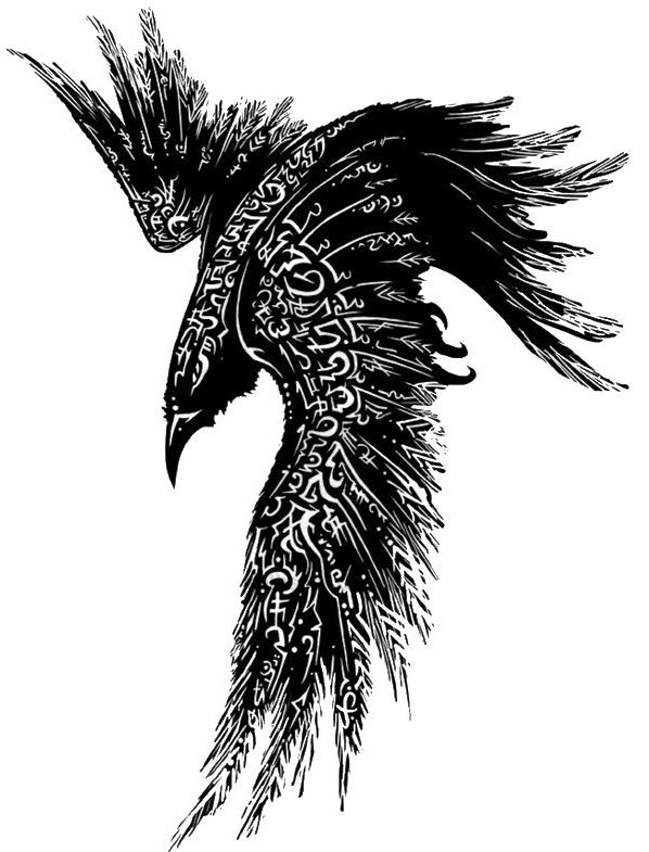 乌鸦纹身素描，从颈部到背部的顺利进行