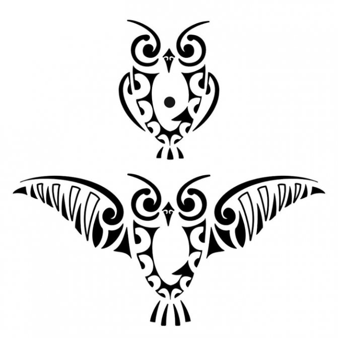 Скица за татуировка на крак със сова