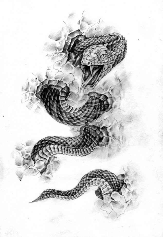 Luonnos käärmeen jalkatatuoinnista