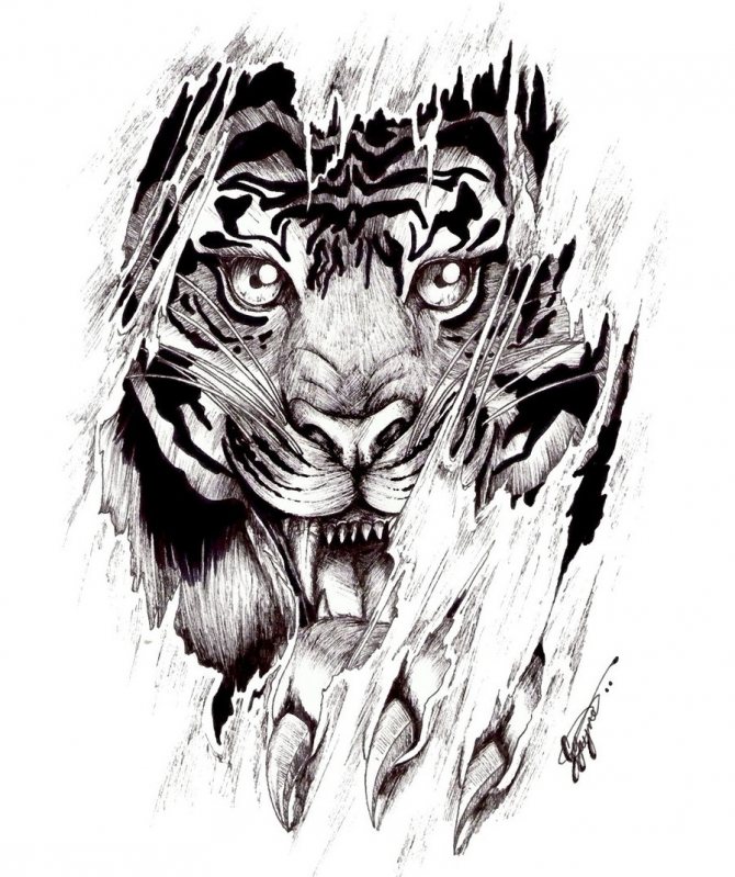 Schizzo di tatuaggio con una tigre