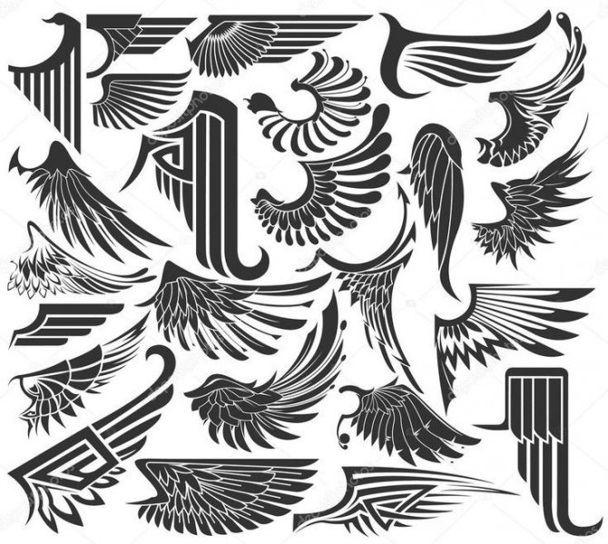 Náčrty pre tetovanie krídel ideálne pre predlaktie