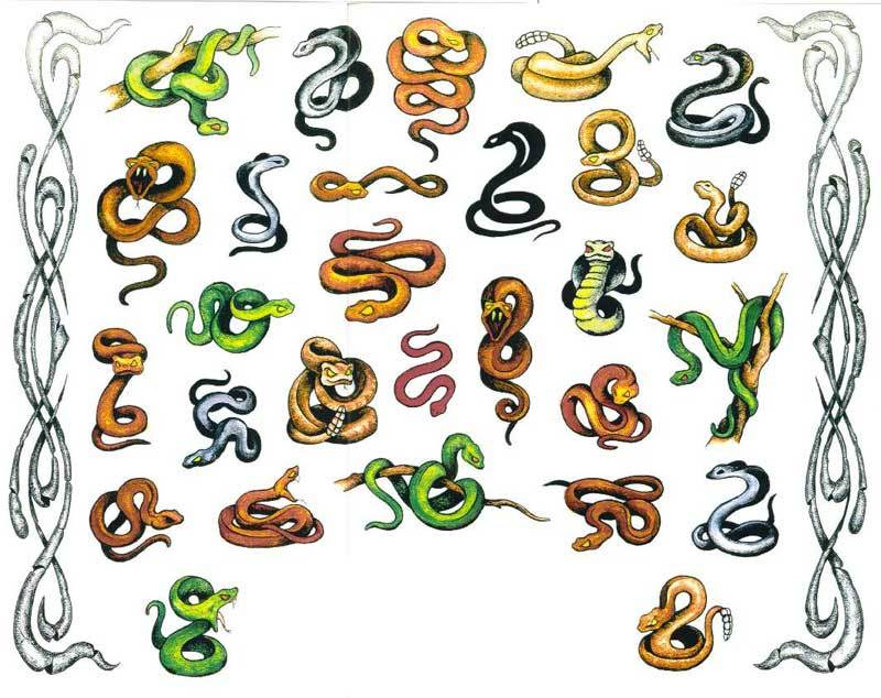 Скици на цветни змии