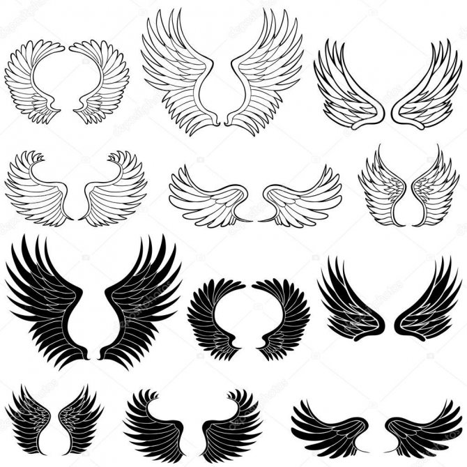 Esquisses d'ailes de tatouage