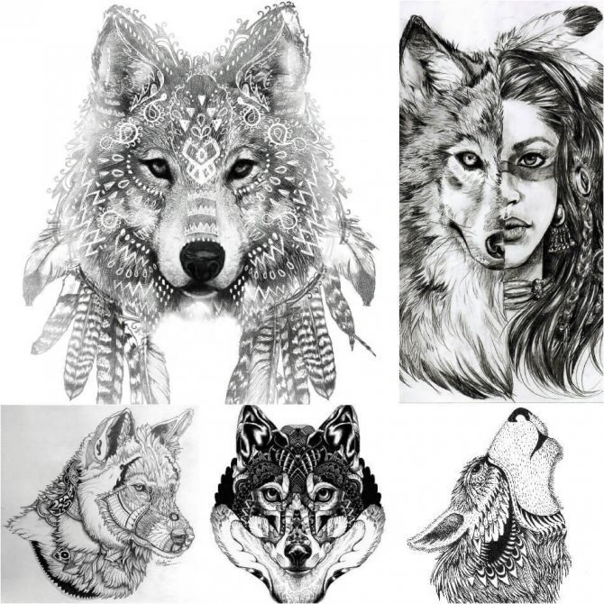 Skitser af tatovering i form af en ulv, hun-ulv