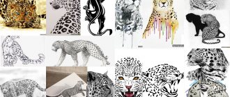 Esboços de Tatuagem Jaguar