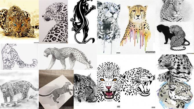 Скици за татуировки на Jaguar