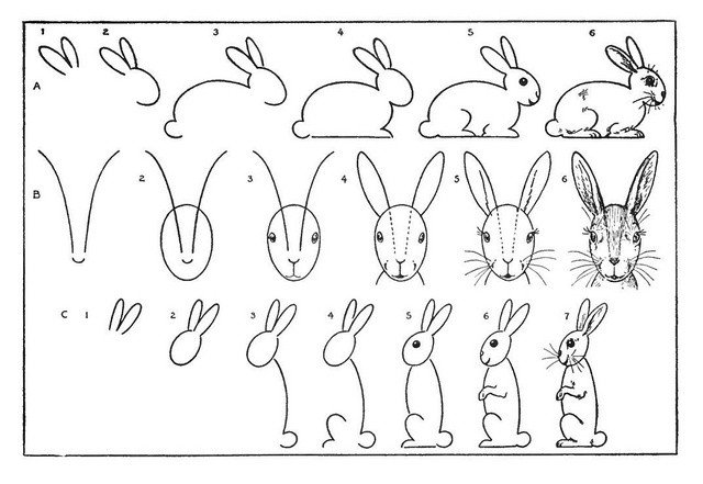 náčrty zajacov