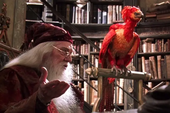 phoenix într-un film Harry Potter