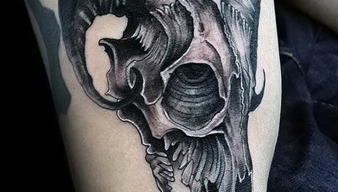 Снимка на татуировка на кози череп 28.07.2019 #004 - татуировка на кози череп - tattoo-photo.ru