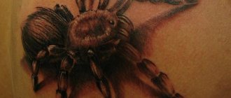 valokuva tatuointi hämähäkki-11