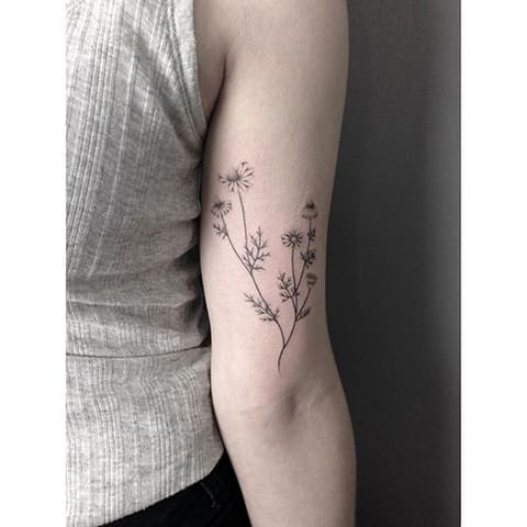 Tatuagem fotográfica da margarida de uma rapariga