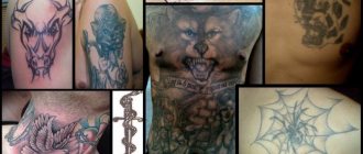 fotografia de tatuagens de prisão