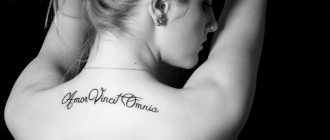 Frases de amor latinas para tatuagens