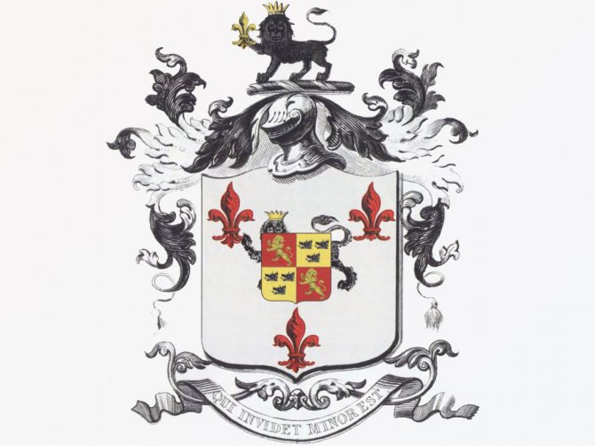 Crinul heraldic - semnificație simbolică.