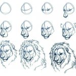 Σχέδιο με μολύβι του κεφαλιού ενός λιονταριού. Έγχρωμο, ασπρόμαυρο για παιδιά