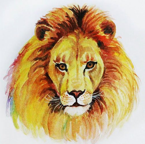 Blyantstegning af et løvehoved i blyant trin for trin. Farve, sort og hvid for børn